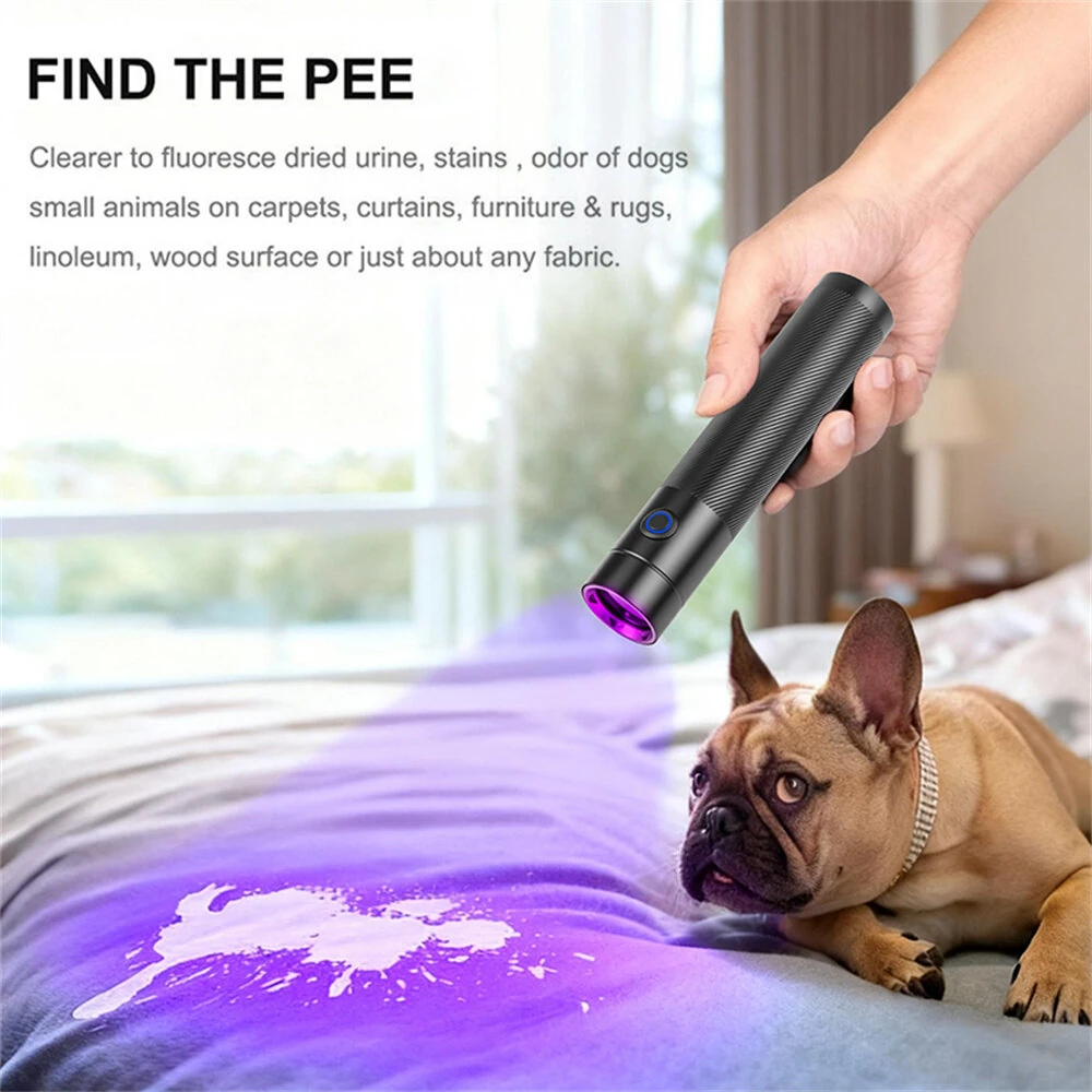 365NM UV MINI Flashlight Black Mirror Purple Light+ Red Beam Type C Rechargeable Filtered LED Ultraviolet Mini Torch Pet Pee Urine Rocks Gem Money UV Light — view 5