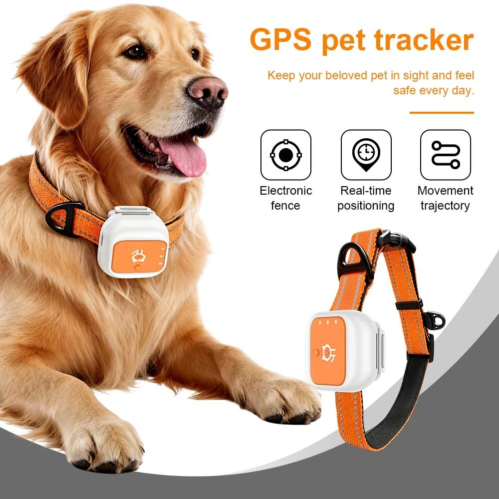 4G LTE Pet GPS Tracker IP66 Waterproof with Long Standby Real Time Tracking for Dogs Cats Electronic Fence Anti-Lost Device — view 2