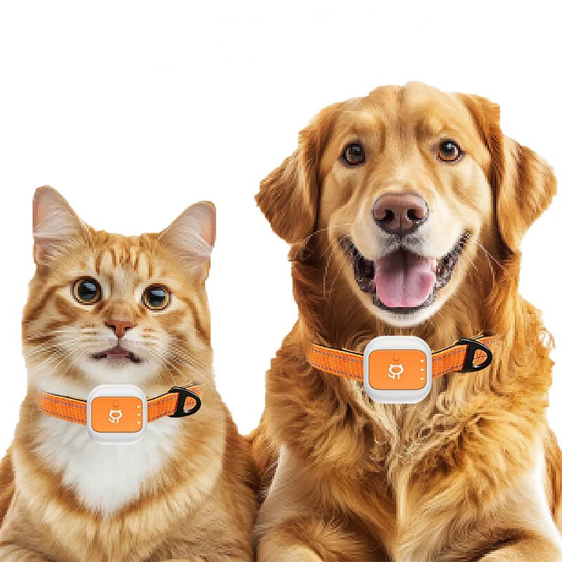 4G LTE Pet GPS Tracker IP66 Waterproof with Long Standby Real Time Tracking for Dogs Cats Electronic Fence Anti-Lost Device — view 7