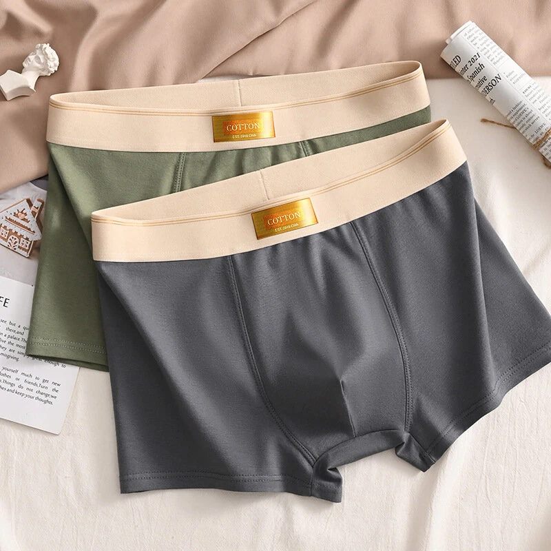 4pcs Men's Underwear Boxer Briefs Breathable Comfortable Short Leg Cotton Trunks Plus Size Panties Underwear L-4XL — view 4
