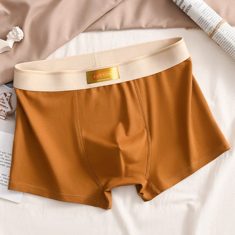 4pcs Men's Underwear Boxer Briefs Breathable Comfortable Short Leg Cotton Trunks Plus Size Panties Underwear L-4XL — view 7