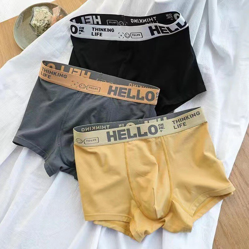 5pcs Men's Simple Cotton Boxer Briefs with Letter Print Waistband Large Size Comfy Breathable Solid Color Boxer Underwear Underpants — view 3
