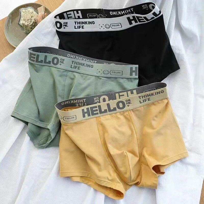5pcs Men's Simple Cotton Boxer Briefs with Letter Print Waistband Large Size Comfy Breathable Solid Color Boxer Underwear Underpants — view 4