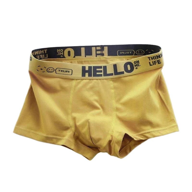 5pcs Men's Simple Cotton Boxer Briefs with Letter Print Waistband Large Size Comfy Breathable Solid Color Boxer Underwear Underpants — view 5