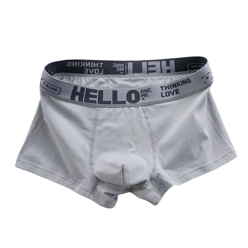 5pcs Men's Simple Cotton Boxer Briefs with Letter Print Waistband Large Size Comfy Breathable Solid Color Boxer Underwear Underpants — view 7