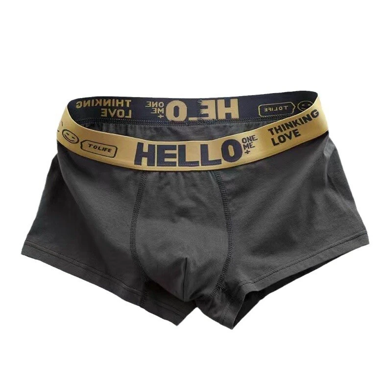 5pcs Men's Simple Cotton Boxer Briefs with Letter Print Waistband Large Size Comfy Breathable Solid Color Boxer Underwear Underpants — view 9