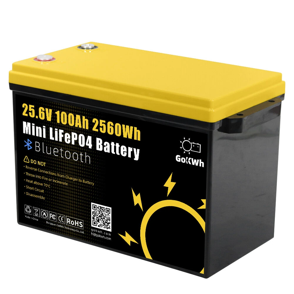 Gokwh 24V 100Ah LCD Energy Storage Box 2560Wh Solar Lithium Ion LiFePO4(LFP) Battery for RV Boat Home Energy Storage — Gokwh