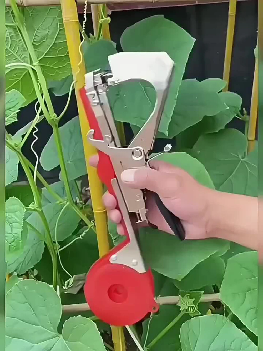 Plant Vine Binder Tape Machine Sets For Grapes Raspberries Tomatoes And Grape Vegetables With 20 Rolls Of Tape — view 5