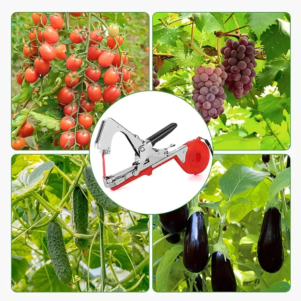 Plant Vine Binder Tape Machine Sets For Grapes Raspberries Tomatoes And Grape Vegetables With 20 Rolls Of Tape — view 6