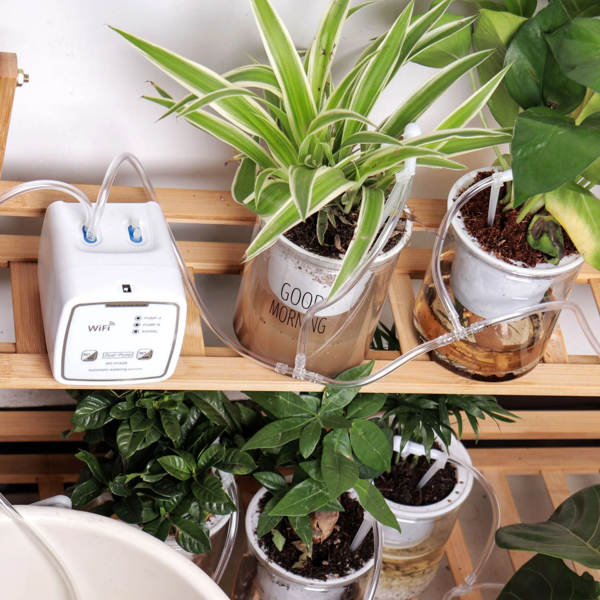 Tuya WIFI Smart Garden Intelligent Watering Device 20 Pots Double Pump Timed Automatic Drip Irrigation System Remote APP Controller for Garden Terrace — view 7